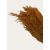 OCRE